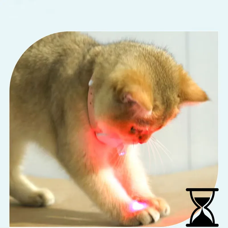 Rechargeable cat laser collar · 5